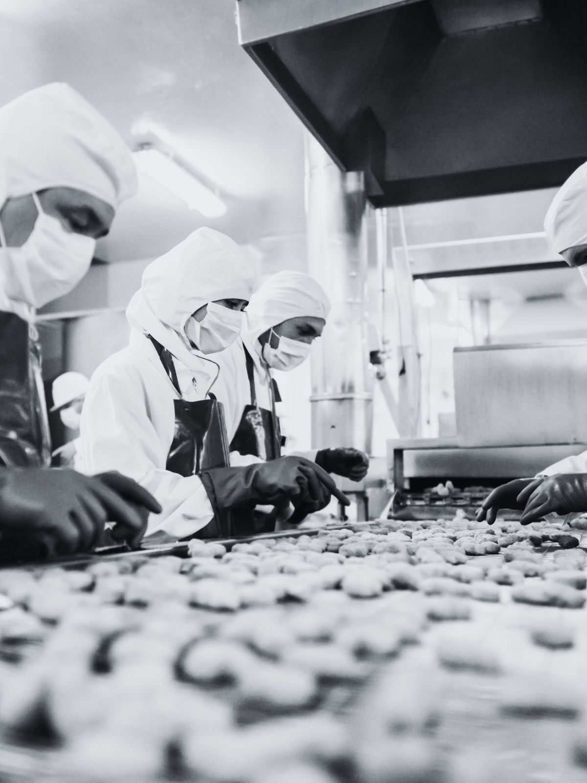 Emploi dans le Morbihan
