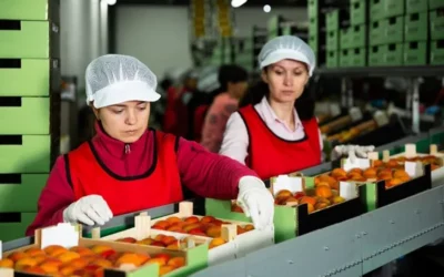 Agent / Agente de production en industrie agroalimentaire